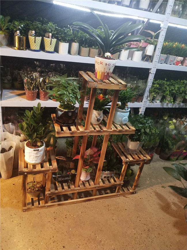 经典案例