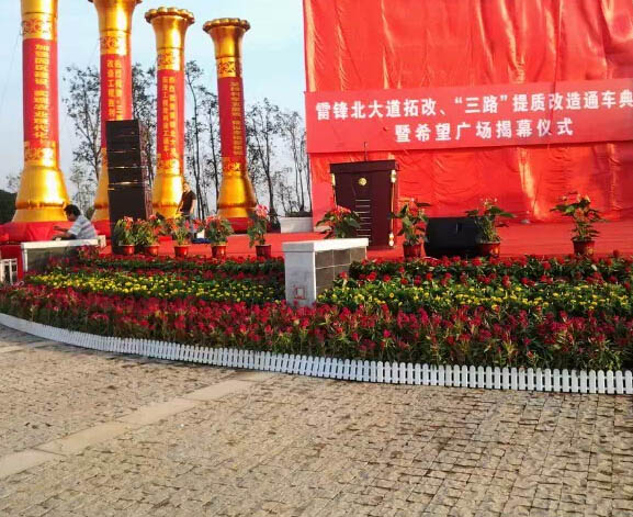 经典案例