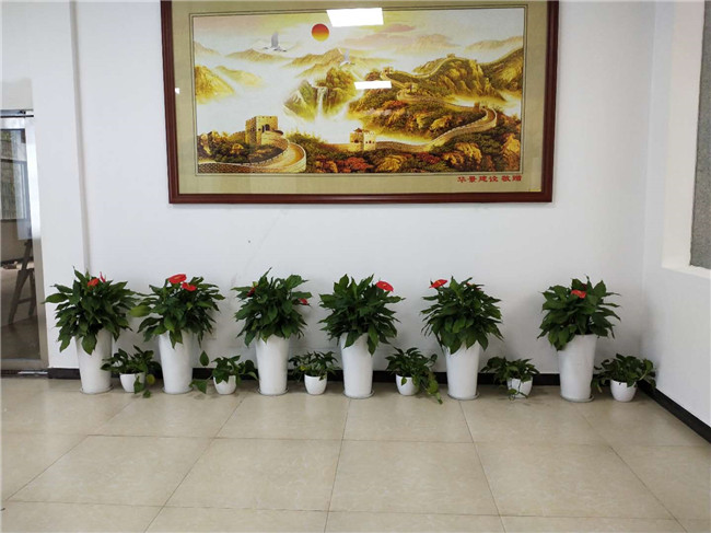 经典案例