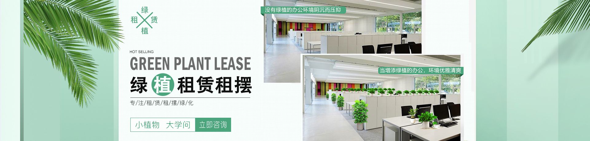 首页banner
