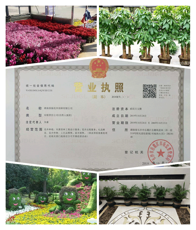 202006031000200957-(1).png