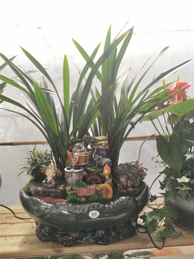 墨兰艺术盆景