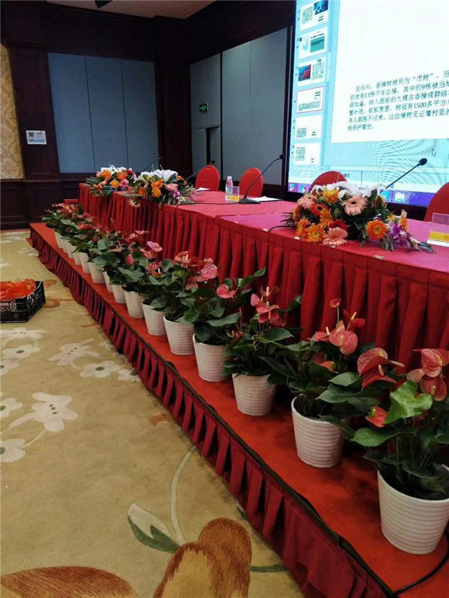 经典案例
