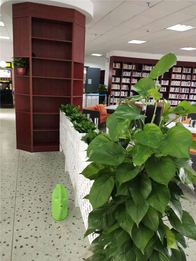 经典案例