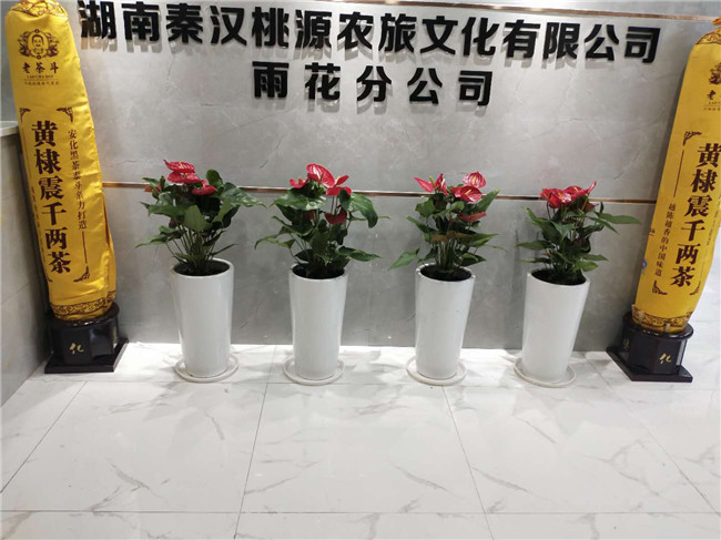 经典案例