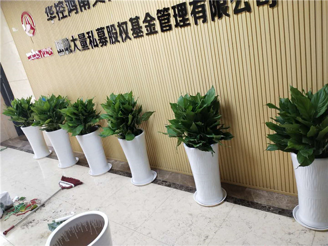 经典案例