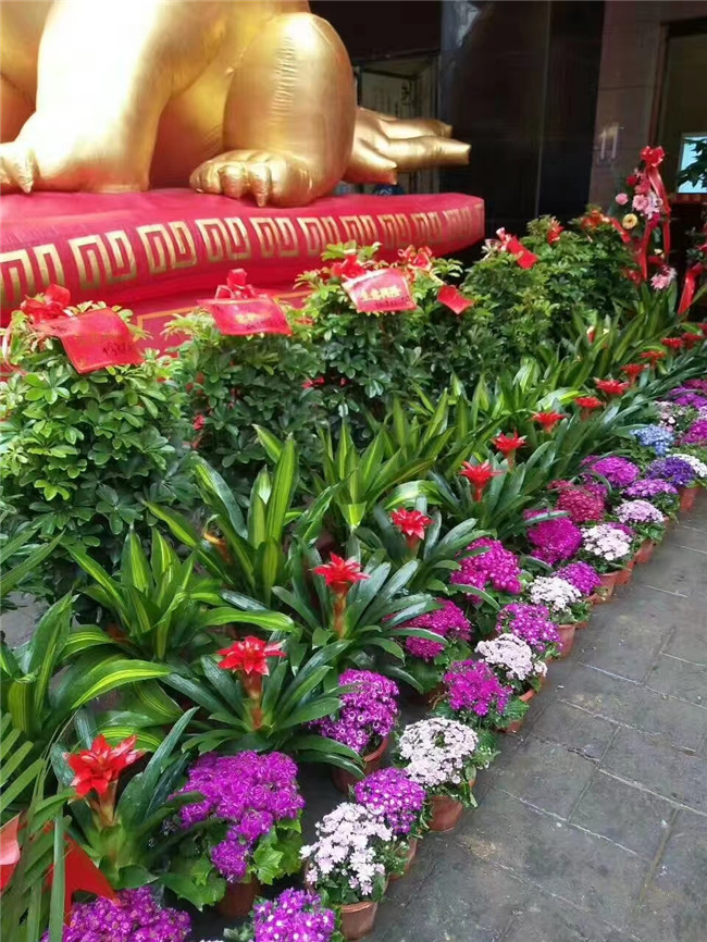 经典案例
